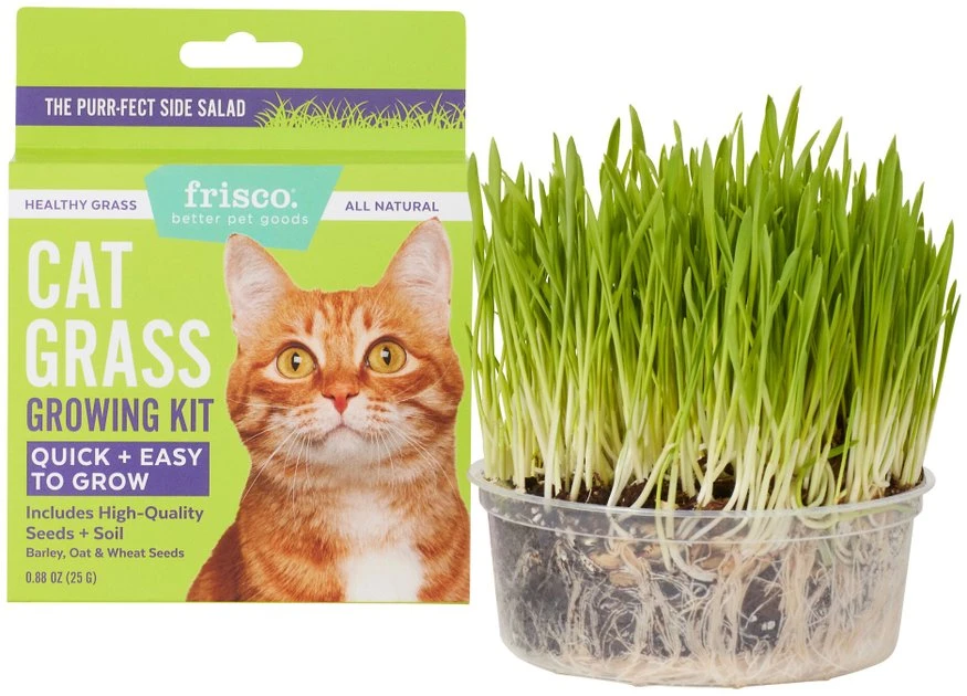 Frisco Natural Cat Grass Growing Kit 3 Frisco Natural Cat Grass Growing Kit