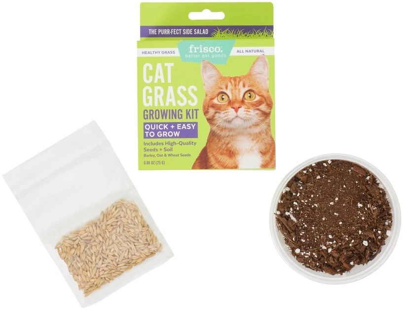 Frisco Natural Cat Grass Growing Kit 5 Frisco Natural Cat Grass Growing Kit - Image 3