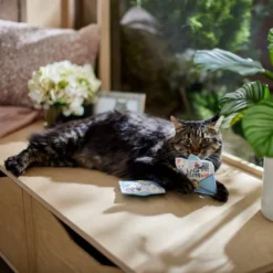 Frisco Mother's Day Card Felt Cat Toy with Catnip, 2 count 9 Frisco Mother's Day Card Felt Cat Toy with Catnip, 2 count -FRISCO Sales 327025 PT3. SY630 V1646948030