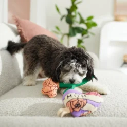 Frisco Mother's Day Rose & Heart Plush Squeaky Dog Toy, 2 count -FRISCO Sales 327033 PT3. SY630 V1646947953