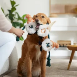 Frisco Mother's Day Gnomes Plush with Rope Squeaky Dog Toy -FRISCO Sales 327037 PT3. SY630 V1646948102