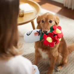 Frisco Mother's Day Mason Jar Flower Blooms Plush Squeaky Dog Toy -FRISCO Sales 327039 PT3. SY630 V1646947919