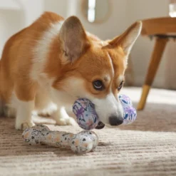 Frisco Mother's Day TPR Bone Squeaky Dog Toy, 2 count 7 Frisco Mother's Day TPR Bone Squeaky Dog Toy, 2 count -FRISCO Sales 327041 PT3. SY630 V1646947973