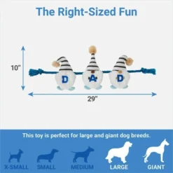 Frisco Dad Gnome Plush with Rope Dog Toy -FRISCO Sales 327053 PT1. SY630 V1648563986