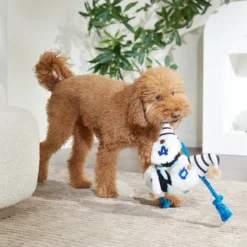 Frisco Dad Gnome Plush with Rope Dog Toy -FRISCO Sales 327053 PT3. SY630 V1648667286