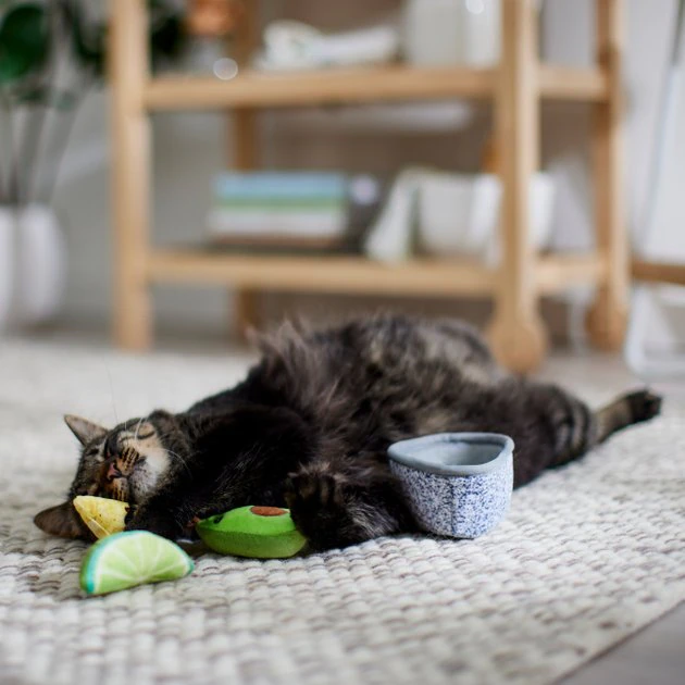 Frisco Guacamole Bowl Cat Toy with Catnip, Medium, 4 count 6 Frisco Guacamole Bowl Cat Toy with Catnip, Medium, 4 count - Image 4