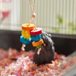 Frisco Small Pet Dangly Wooden Chew Toy -FRISCO Sales 330871 PT3. SY630 V1647530133