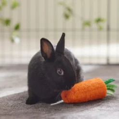 Frisco Small Pet Carrot Loofah Chew Toy -FRISCO Sales 330873 PT2. SY630 V1647530171