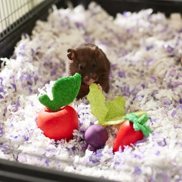 Frisco Small Pet Wooden Fruit Assortment Chew Toy 5 Frisco Small Pet Wooden Fruit Assortment Chew Toy - Image 3