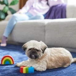 Frisco Pride Rainbow & Heart Latex Squeaky Dog Toy, 2 count 7 Frisco Pride Rainbow & Heart Latex Squeaky Dog Toy, 2 count -FRISCO Sales 331632 PT3. SY630 V1647355825