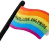 Frisco Pride Flag Flat Squeaky Dog Toy