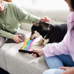 Frisco Pride Flag Flat Squeaky Dog Toy -FRISCO Sales 331640 PT3. SY630 V1647355852