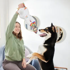 Frisco Pride Love Unicorn Plush with Rope Squeaky Dog Toy -FRISCO Sales 331642 PT3. SY630 V1647355918