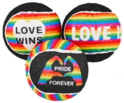 Frisco Pride Squeaking Tennis Ball Dog Toy, 3 count