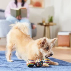 Frisco Pride Squeaking Tennis Ball Dog Toy, 3 count -FRISCO Sales 331644 PT3. SY630 V1647355895