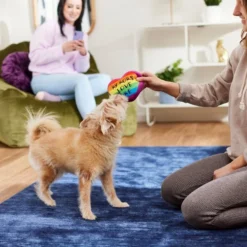 Frisco Pride My Moms Love Me Plush Squeaky Dog Toy 7 Frisco Pride My Moms Love Me Plush Squeaky Dog Toy -FRISCO Sales 331646 PT3. SY630 V1647355958