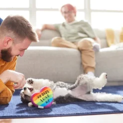 Frisco Pride My Dads Love Me Plush Squeaky Dog Toy -FRISCO Sales 331648 PT3. SY630 V1647355984