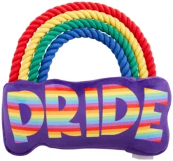 Frisco Pride Rainbow Plush with Rope Squeaky Dog Toy