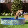 Frisco Outdoor Dog Swimming Pool, Rubber Ducky 2 Frisco Outdoor Dog Swimming Pool, Rubber Ducky -FRISCO Sales 331659 MAIN. SY630 V1646178641