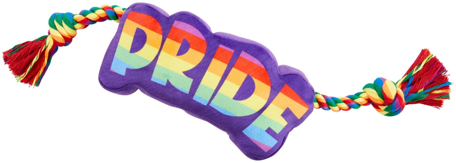 Frisco Pride Plush with Rope Squeaky Dog Toy 3 Frisco Pride Plush with Rope Squeaky Dog Toy