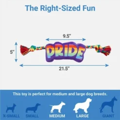 Frisco Pride Plush with Rope Squeaky Dog Toy 6 Frisco Pride Plush with Rope Squeaky Dog Toy -FRISCO Sales 331661 PT1. SY630 V1649785001