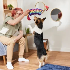 Frisco Pride Plush with Rope Squeaky Dog Toy 7 Frisco Pride Plush with Rope Squeaky Dog Toy -FRISCO Sales 331661 PT3. SY630 V1647356002