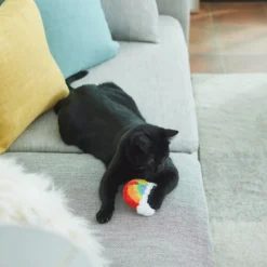 Frisco Pride Rainbow Plush Cat Toy with Silvervine -FRISCO Sales 331690 PT3. SY630 V1647355685