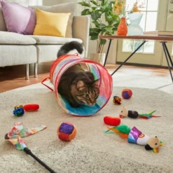 Frisco Pride Plush, Teaser, Ball, Tunnel Variety Pack Cat Toy with Catnip, 10 count -FRISCO Sales 331696 PT4. SY630 V1649086673