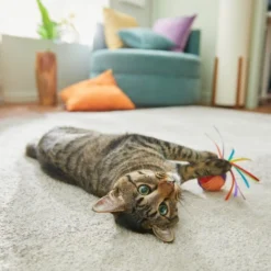 Frisco Pride Rainbow Sisal Ball Cat Toy -FRISCO Sales 331700 PT3. SY630 V1647355727