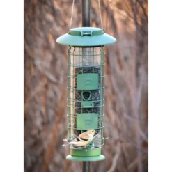 Frisco Squirrel Defense Wild Bird Feeder -FRISCO Sales 333277 PT4. SY630 V1646664996