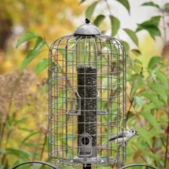 Frisco Ultra Squirrel Defense Wild Bird Feeder -FRISCO Sales 333281 PT3. SY630 V1646665002
