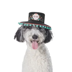 Frisco Day of the Dead Dog & Cat Hat