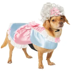 Frisco 18th Century Dog & Cat Dress Costume