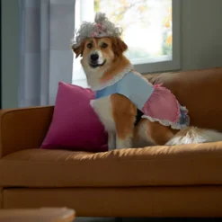 Frisco 18th Century Dog & Cat Dress Costume -FRISCO Sales 334767 PT7. SY630 V1657656879