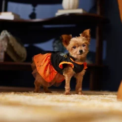 Frisco Boo Dog & Cat Dress -FRISCO Sales 334825 PT7. SY630 V1657722650