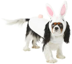 Frisco Bunny Dog & Cat Costume
