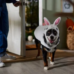 Frisco Bunny Dog & Cat Costume -FRISCO Sales 334834 PT7. SY630 V1657718231