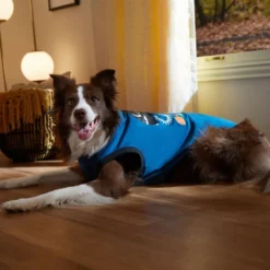 Frisco Dino Skeleton Dog & Cat T-Shirt -FRISCO Sales 334881 PT7. SY630 V1657718232