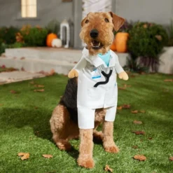 Frisco Doctor Dog & Cat Costume -FRISCO Sales 334895 PT7. SY630 V1659984181
