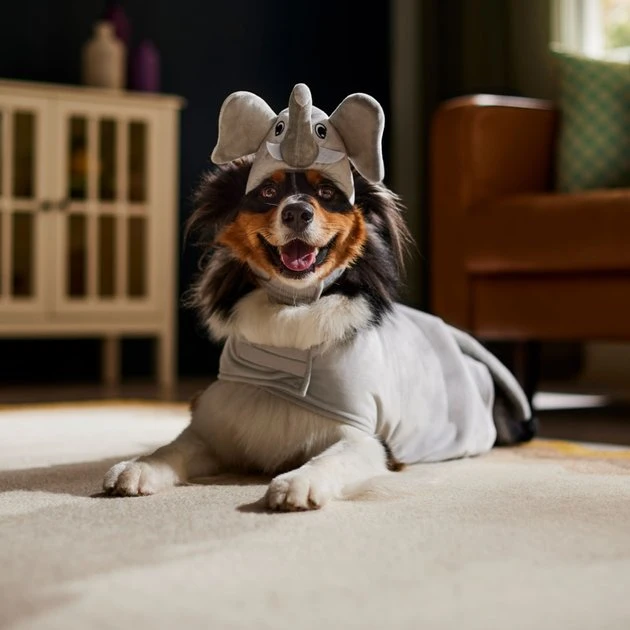 Frisco Elephant Dog & Cat Costume 6 Frisco Elephant Dog & Cat Costume - Image 4