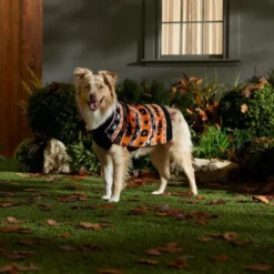 Frisco Fair Isle Pumpkin Dog & Cat Sweater -FRISCO Sales 334922 PT7. SY630 V1659984178