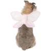 Frisco Fairy Wings Dog & Cat Costume Accessory