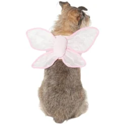 Frisco Fairy Wings Dog & Cat Costume Accessory