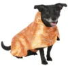 Frisco Spider Webbed Dog & Cat Costume Cape -FRISCO Sales 334972 MAIN. SY630 V1658349619