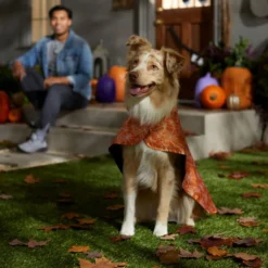 Frisco Spider Webbed Dog & Cat Costume Cape -FRISCO Sales 334972 PT6. SY630 V1657729812