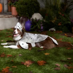 Frisco Seal Dog & Cat Costume 16 Frisco Seal Dog & Cat Costume -FRISCO Sales 334980 PT7. SY630 V1657731231