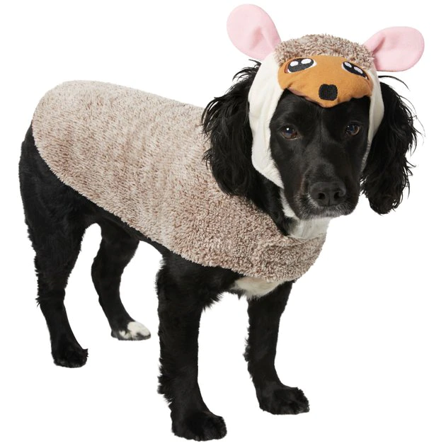 Frisco Hedgehog Dog & Cat Costume 3 Frisco Hedgehog Dog & Cat Costume