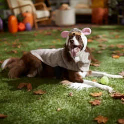 Frisco Hedgehog Dog & Cat Costume 14 Frisco Hedgehog Dog & Cat Costume -FRISCO Sales 334989 PT7. SY630 V1657656881