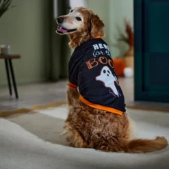 Frisco Here for the Boos Dog & Cat T-Shirt 12 Frisco Here for the Boos Dog & Cat T-Shirt -FRISCO Sales 335004 PT7. SY630 V1657657478