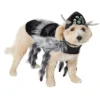 Frisco Spider Dog & Cat Costume 1 Frisco Spider Dog & Cat Costume -FRISCO Sales 335012 MAIN. SY630 V1658716905